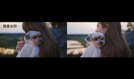 剪映新闻爆料怎么弄视频,揭秘视频生成背后的技术奥秘